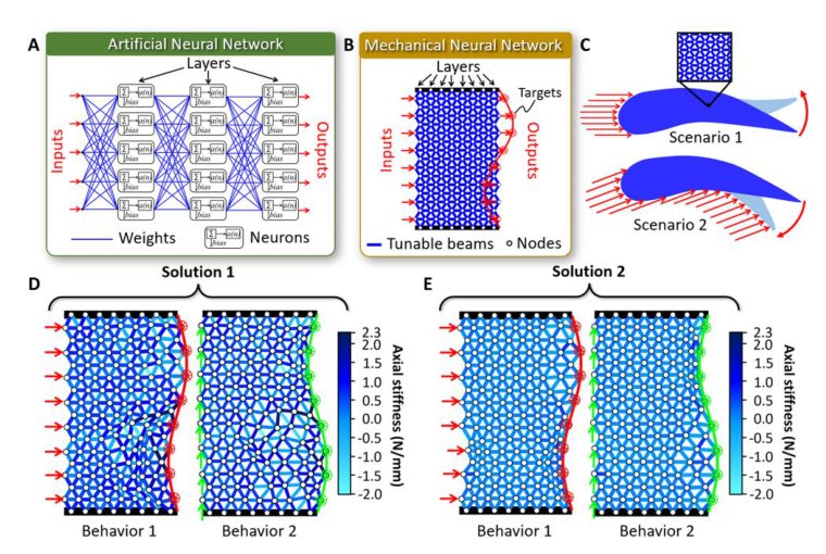 Mechanical neural networks: Architected materials that learn behaviors Figure 1