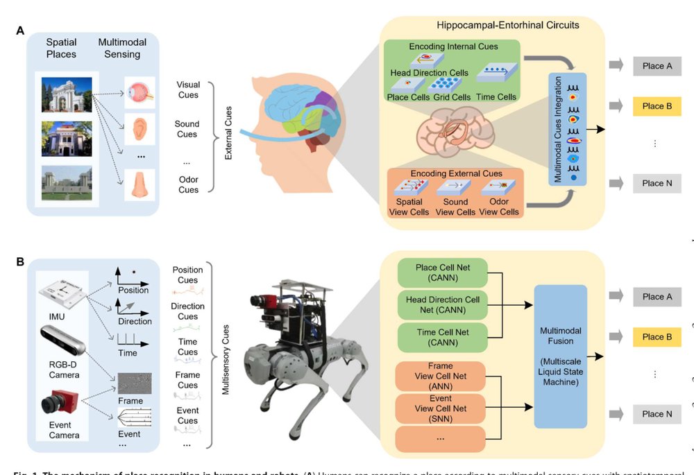 Brain-inspired multimodal hybrid neural network for robot place recognition Figure 1