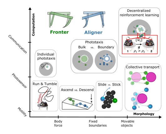 Morphological computation and decentralized learning in a swarm of sterically interacting robots Figure 1