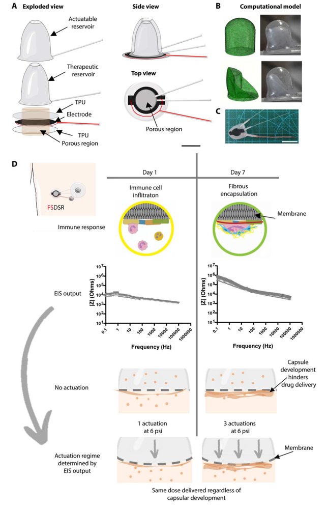 Soft robot–mediated autonomous adaptation to fibrotic capsule formation for improved drug delivery Figure 1