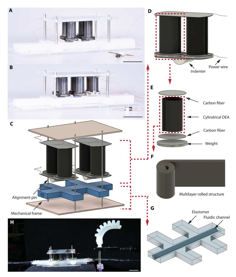 A compact DEA-based soft peristaltic pump for power and control of fluidic robots Figure 1