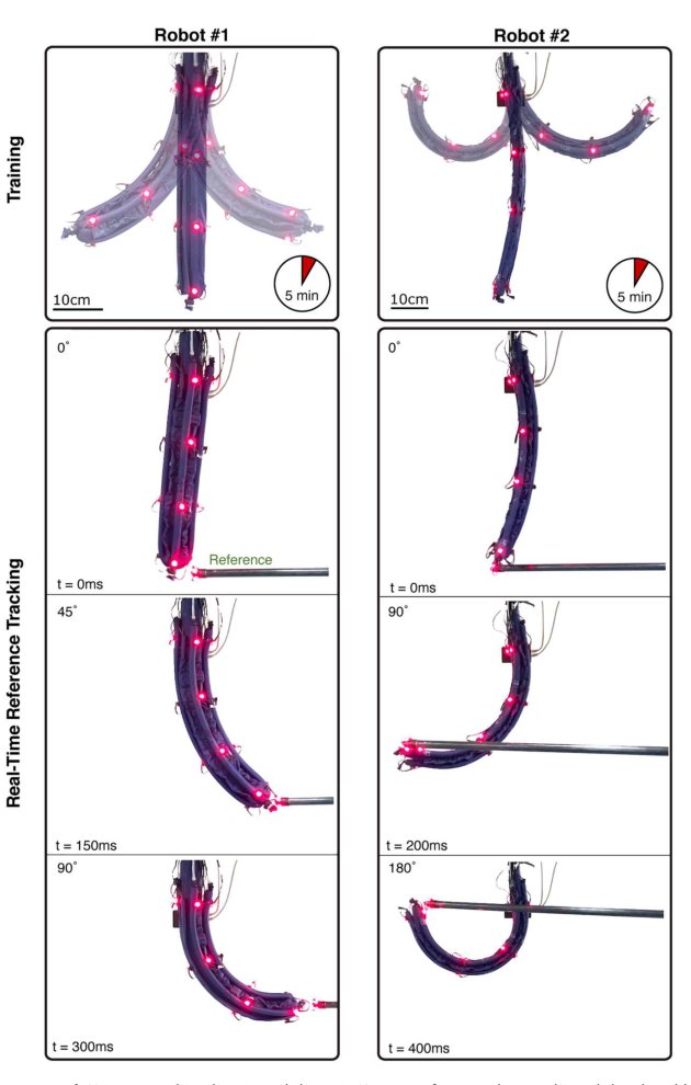 Control of soft robots with inertial dynamics Figure 1