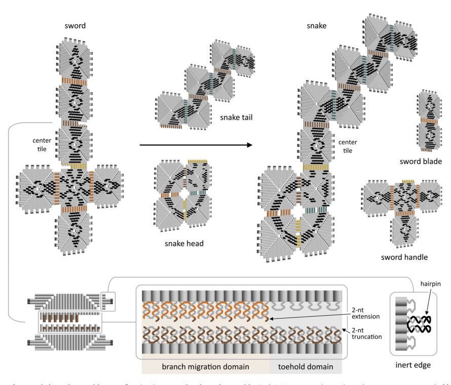 Modular reconfiguration of DNA origami assemblies using tile displacement Figure 1