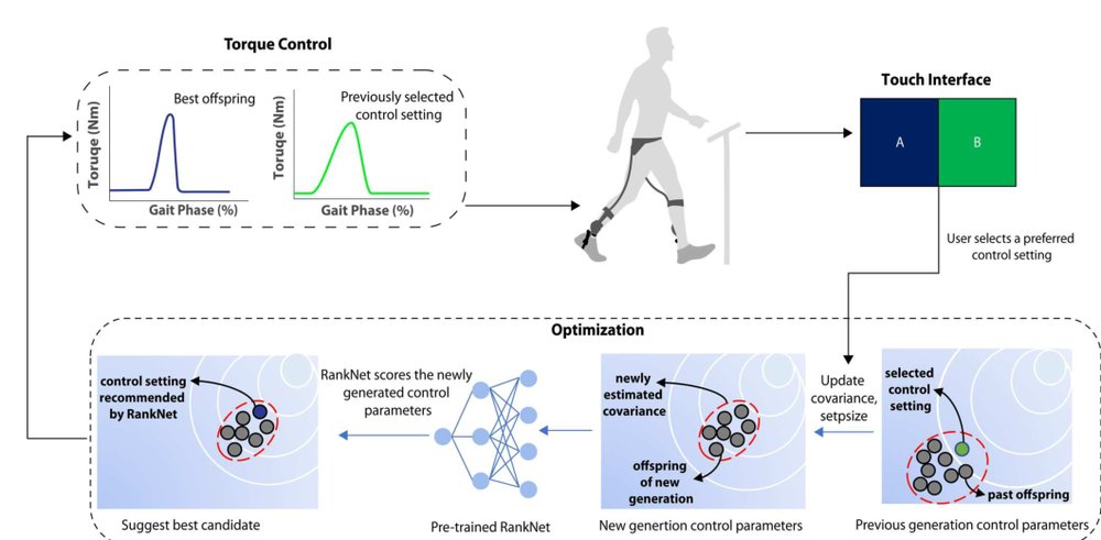 User preference optimization for control of ankle exoskeletons using sample efficient active learning Figure 1