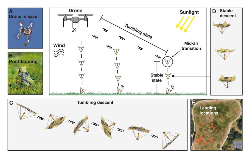 Solar-powered shape-changing origami microfliers Figure 1