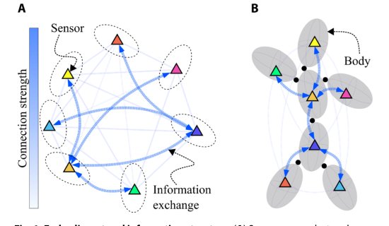Machine learning–driven self-discovery of the robot body morphology Figure 1