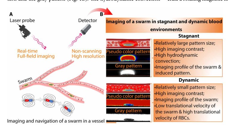 Tracking and navigation of a microswarm under laser speckle contrast imaging for targeted delivery Figure 1