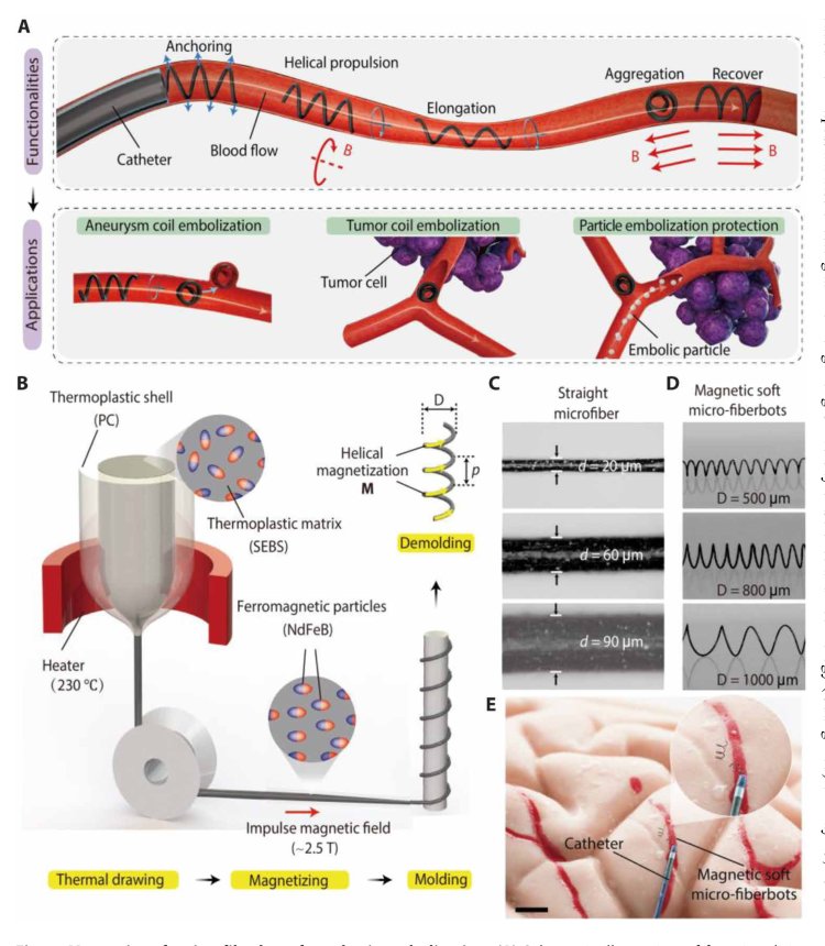 Magnetic soft microfiberbots for robotic embolization Figure 1