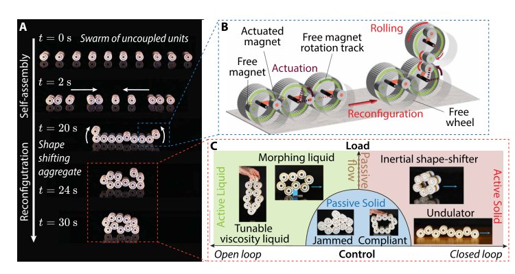 A self-organizing robotic aggregate using solid and liquid-like collective states Figure 1