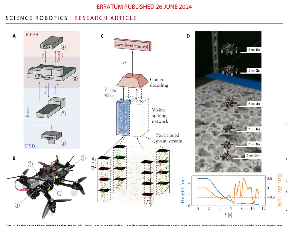 Fully neuromorphic vision and control for autonomous drone flight Figure 1