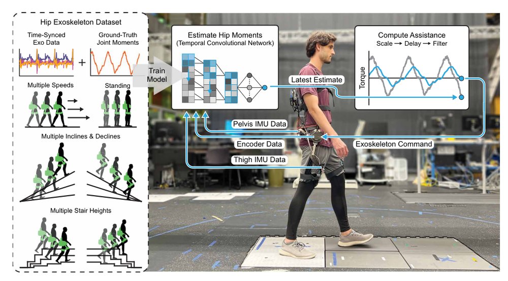 Estimating human joint moments unifies exoskeleton control, reducing user effort Figure 1