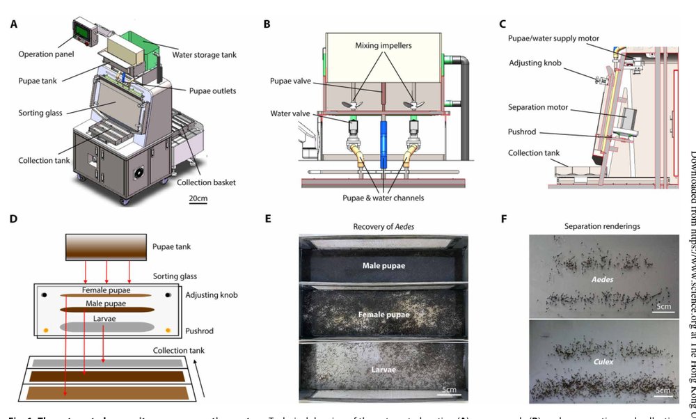 Upscaling the production of sterile male mosquitoes with an automated pupa sex sorter Figure 1