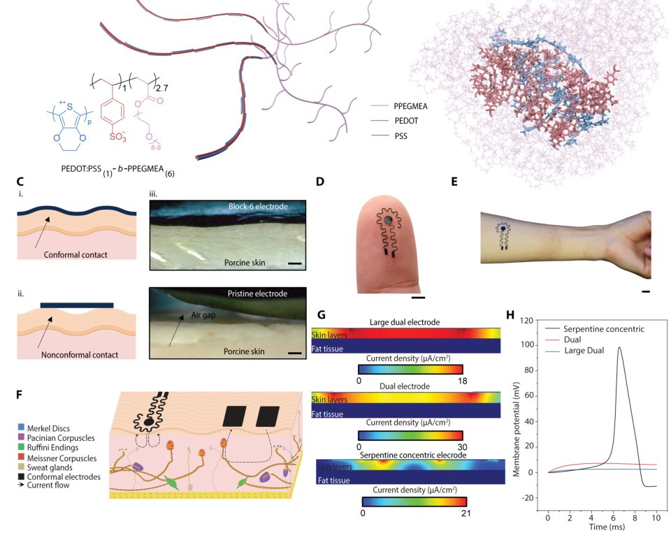 Conductive block copolymer elastomers and psychophysical thresholding for accurate haptic effects Figure 1