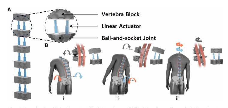 Bilateral Back Extensor Exosuit for multidimensional assistance and prevention of spinal injuries Figure 1