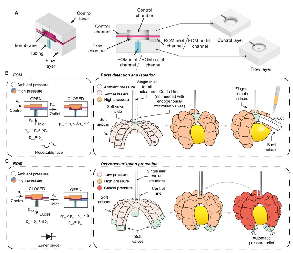 Multimodal soft valve enables physical responsiveness for preemptive resilience of soft robots Figure 1