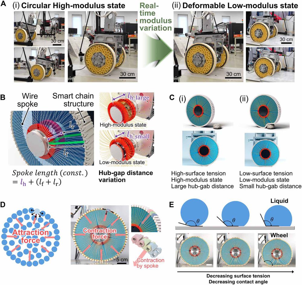 Variable-stiffness–morphing wheel inspired by the surface tension of a liquid droplet Figure 1