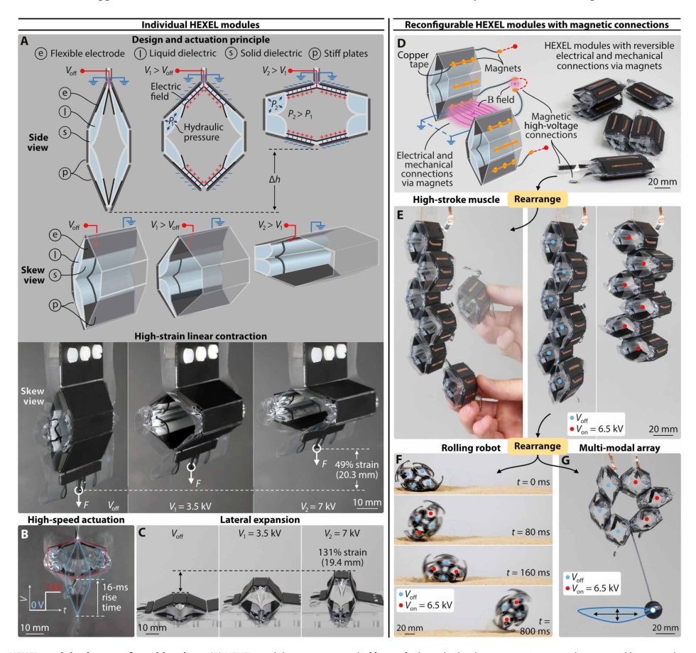 Hexagonal electrohydraulic modules for rapidly reconfigurable high-speed robots Figure 1