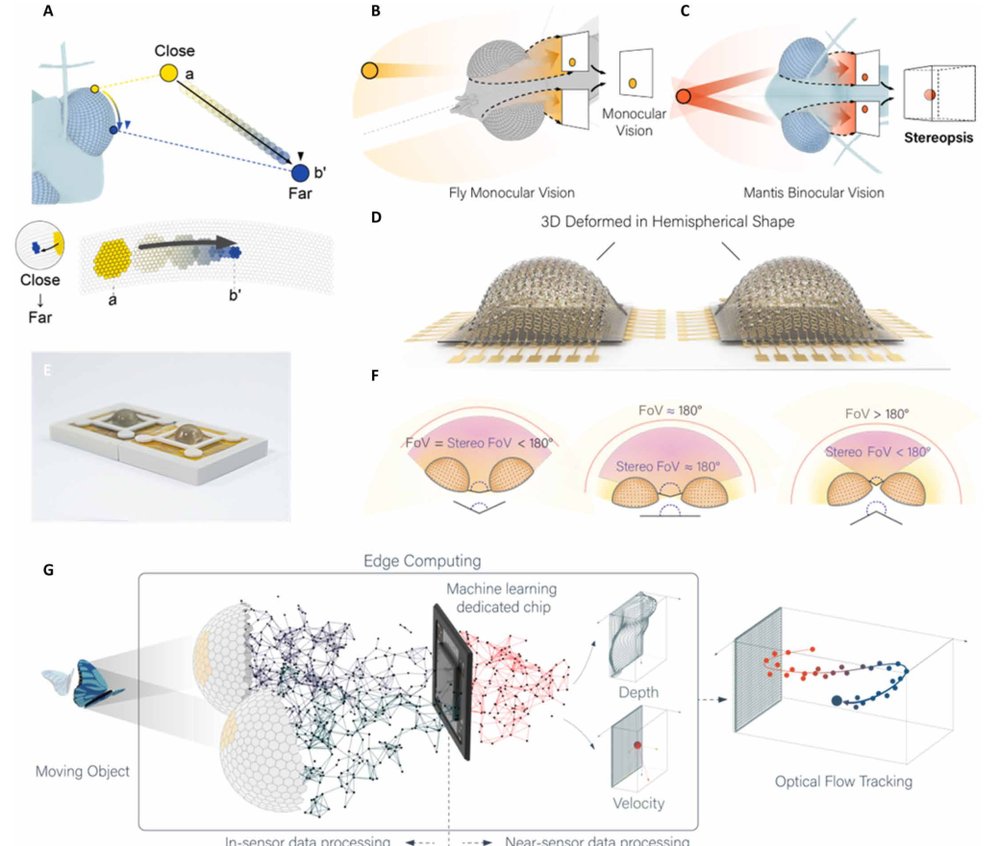 Stereoscopic artificial compound eyes for spatiotemporal perception in three-dimensional space Figure 1