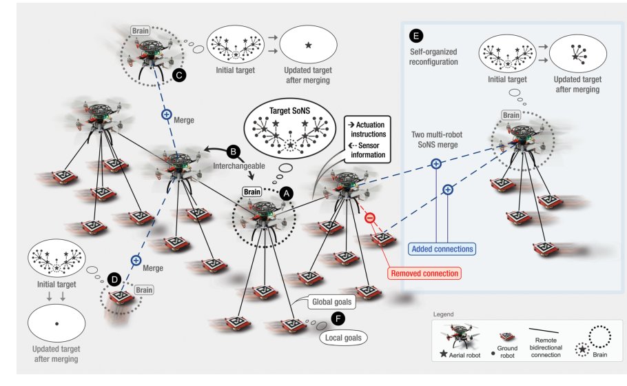 Self-organizing nervous systems for robot swarms Figure 1