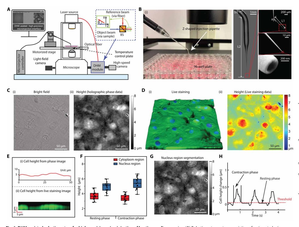 Robotic manipulation of cardiomyocytes to identify gap junction modifiers for arrhythmogenic cardiomyopathy Figure 1