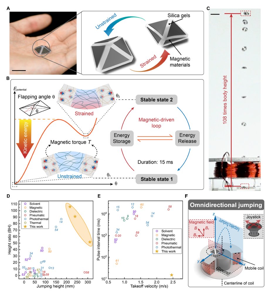 Bistable soft jumper capable of fast response and high takeoff velocity Figure 1