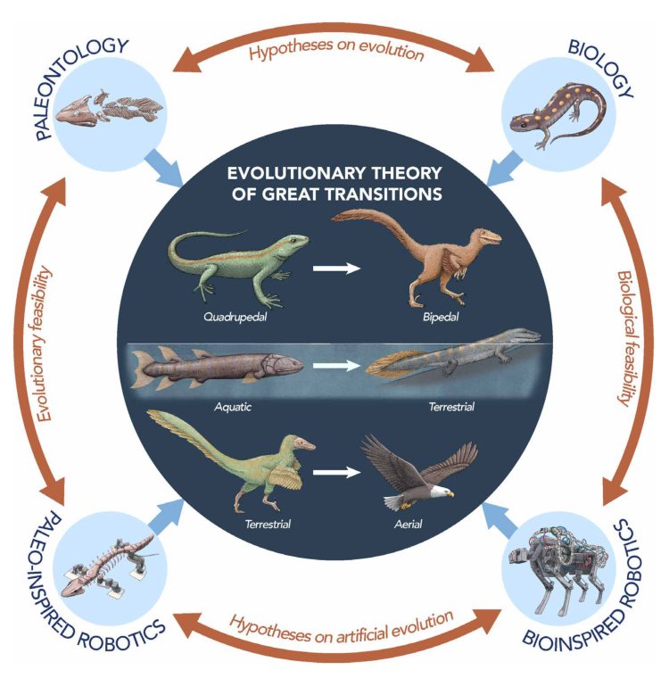 Paleoinspired robotics as an experimental approach to the history of life Figure 1