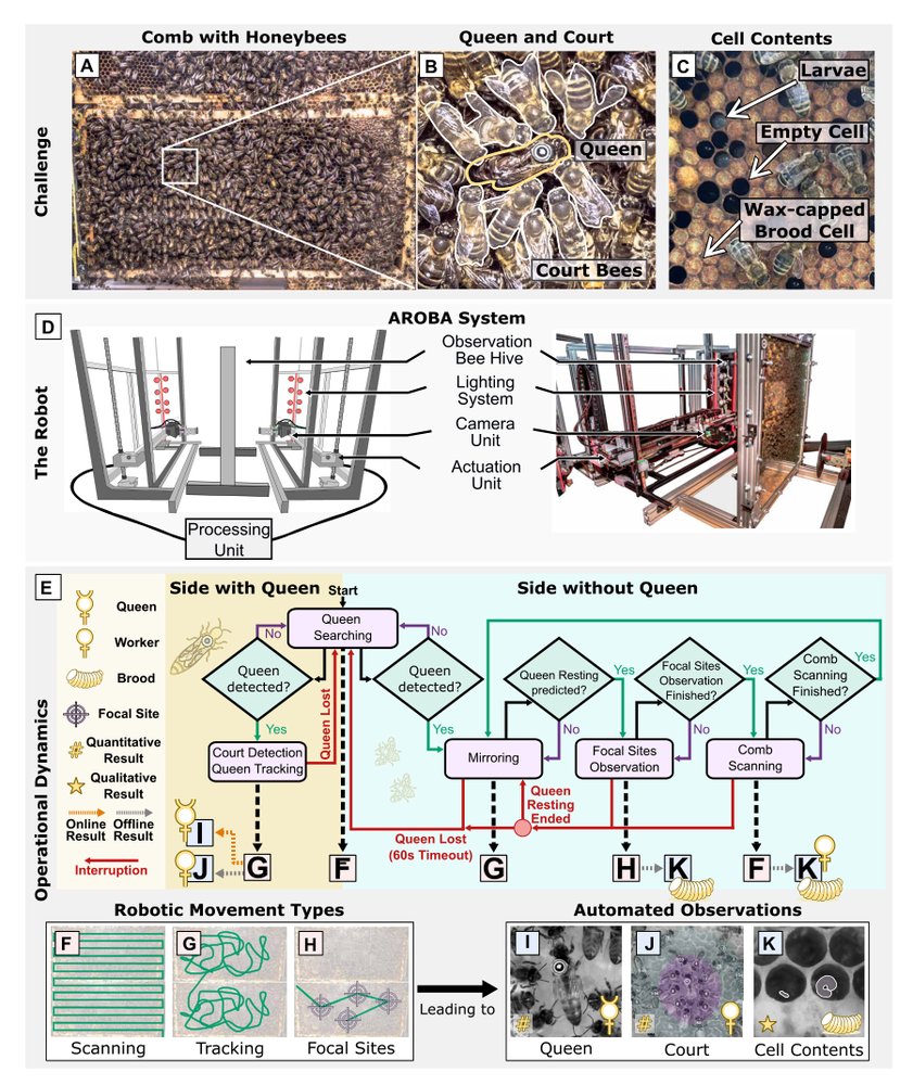 Autonomous tracking of honey bee behaviors over long-term periods with cooperating robots Figure 1