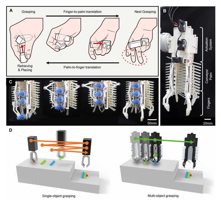 MOGrip: Gripper for multiobject grasping in pick-and-place tasks using translational movements of fingers Figure 1