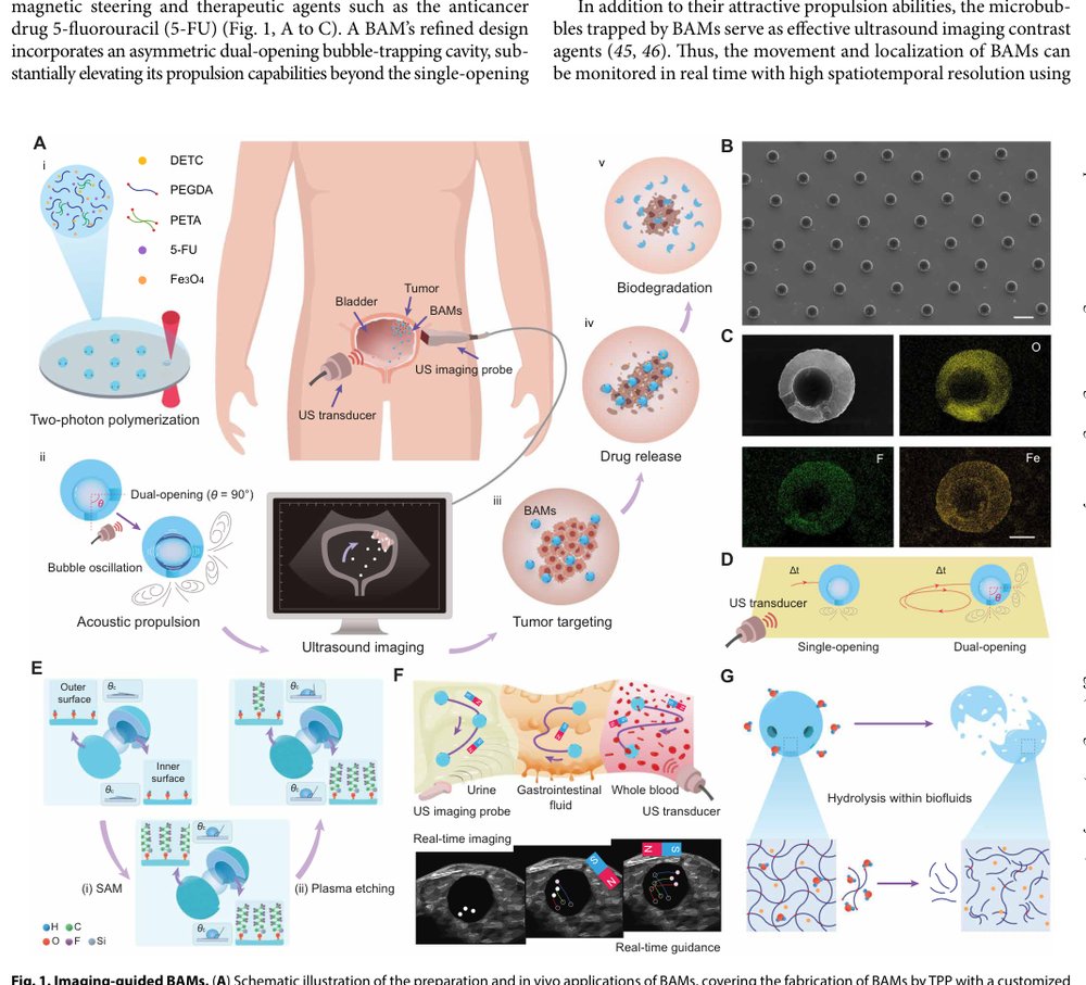 Imaging-guided bioresorbable acoustic hydrogel microrobots Figure 1