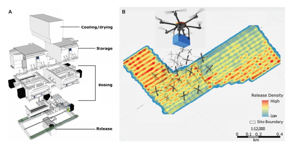 Virus-blocking mosquitoes take flight in the fight against dengue Figure 1