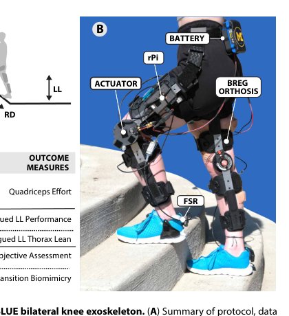 A versatile knee exoskeleton mitigates quadriceps fatigue in lifting, lowering, and carrying tasks Figure 1
