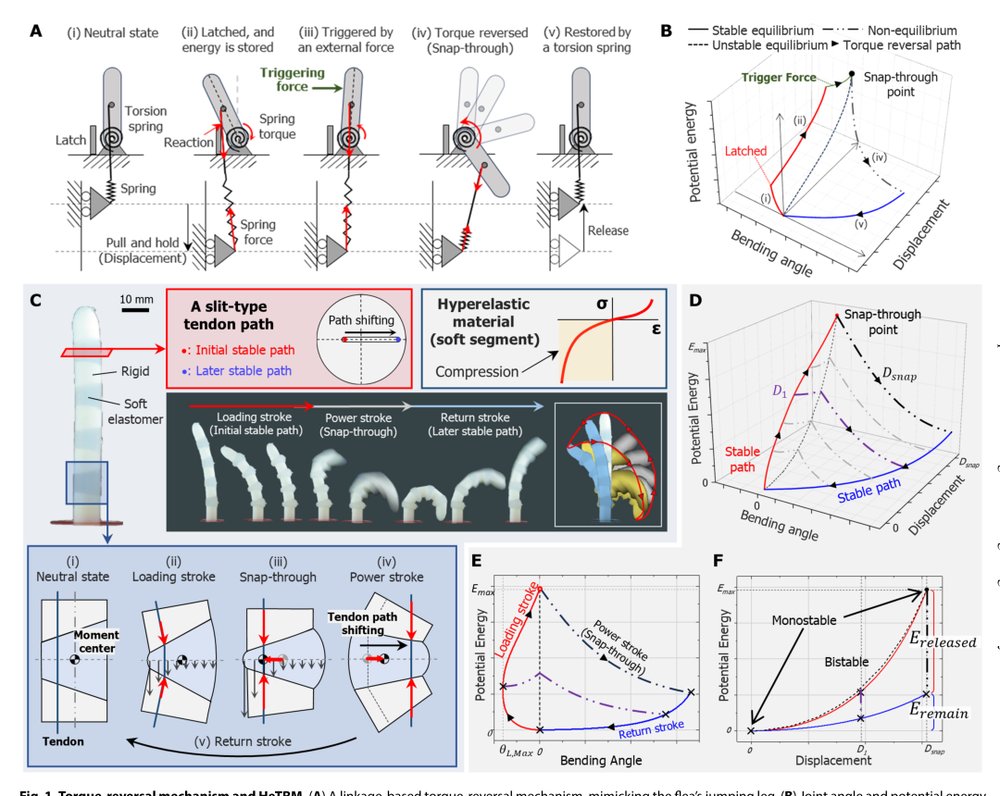 A hyperelastic torque-reversal mechanism for soft joints with compression-responsive transient bistability Figure 1
