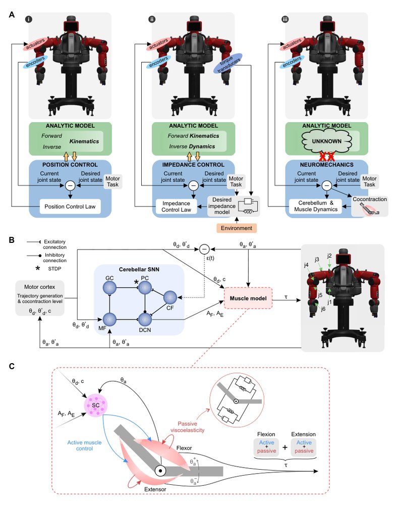 A neuromechanics solution for adjustable robot compliance and accuracy Figure 1