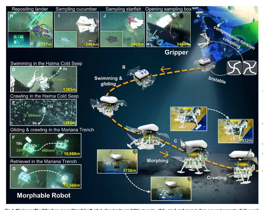 Miniature deep-sea morphable robot with multimodal locomotion Figure 1