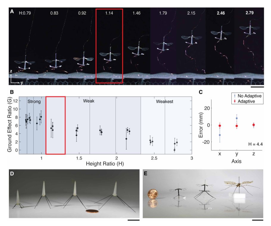 Sticking the landing: Insect-inspired strategies for safely landing flapping-wing aerial microrobots Figure 1