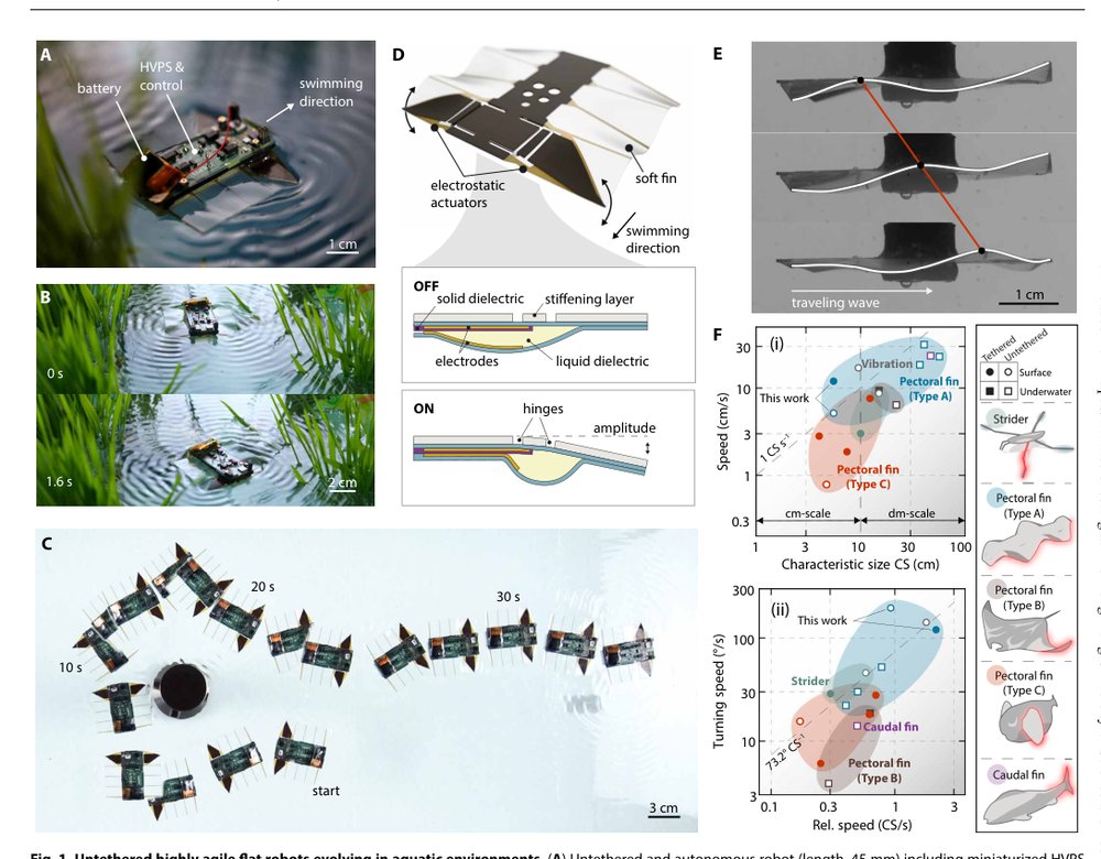 Highly agile flat swimming robot Figure 1