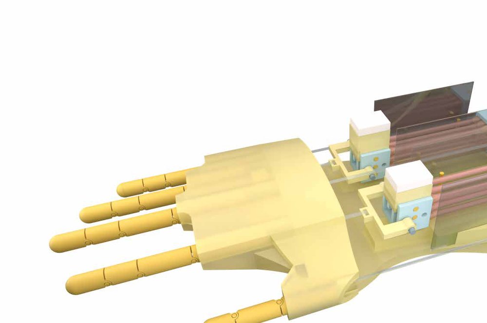 Biohybrid hand actuated by multiple human muscle tissues Figure 1