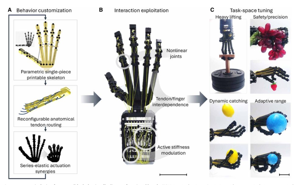 Embodied manipulation with past and future morphologies through an open parametric hand design Figure 1