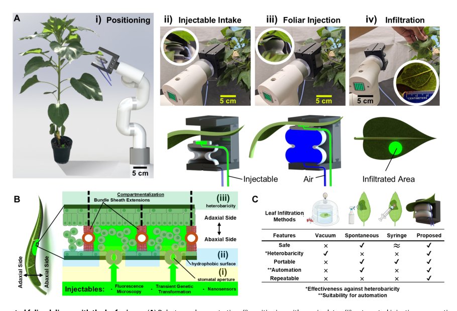 In situ foliar augmentation of multiple species for optical phenotyping and bioengineering using soft robotics Figure 1