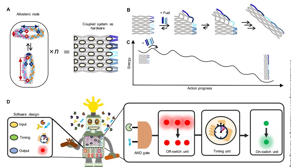 Spring-loaded DNA origami arrays as energy-supplied hardware for modular nanorobots Figure 1