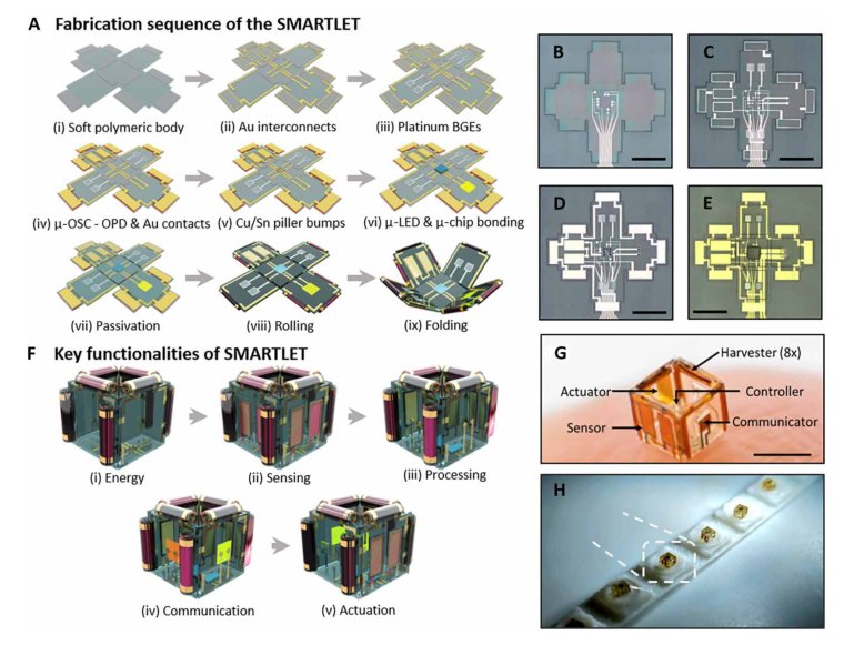 Si chiplet–controlled 3D modular microrobots with smart communication in natural aqueous environments Figure 1