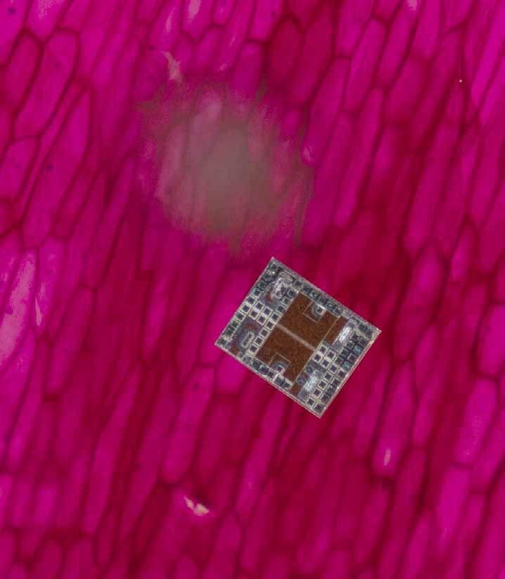 Microscopic robots that sense, think, act, and compute Figure 1