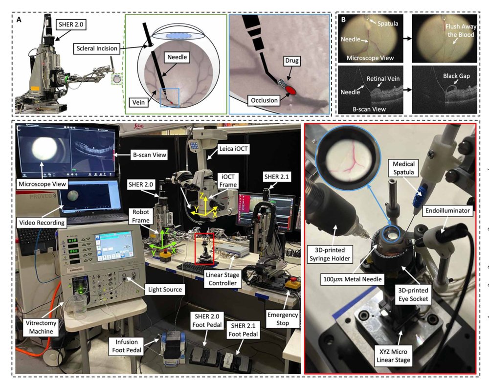 Deep learning–based autonomous retinal vein cannulation in ex vivo porcine eyes Figure 1