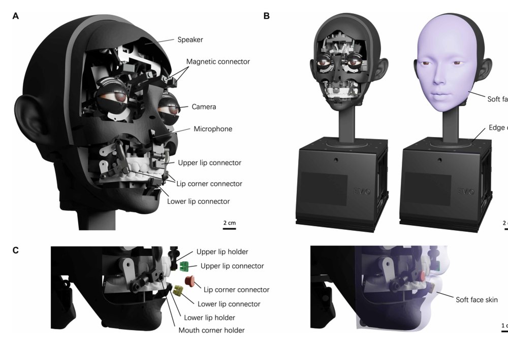 Learning realistic lip motions for humanoid face robots Figure 1
