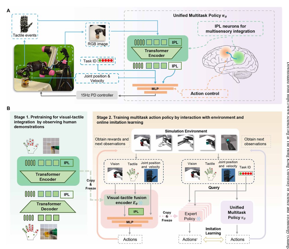 Visual-tactile pretraining and online multitask learning for humanlike manipulation dexterity Figure 1