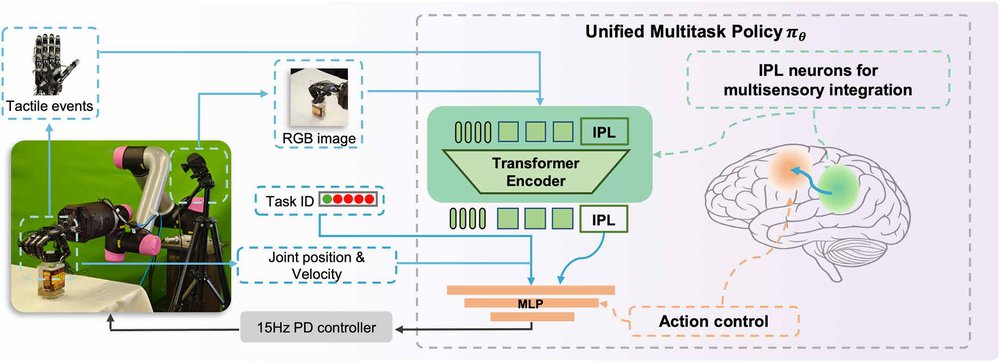 Within arm’s reach: A path forward for robot dexterity Figure 1