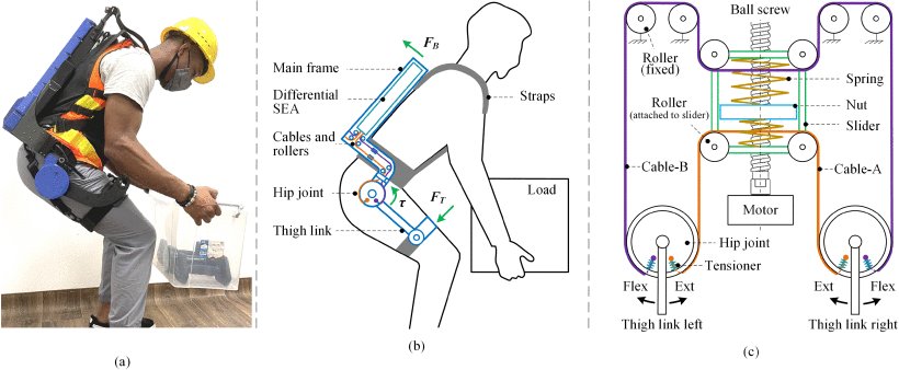 A Novel Back-Support Exoskeleton With a Differential Series Elastic Actuator for Lifting Assistance Figure 1