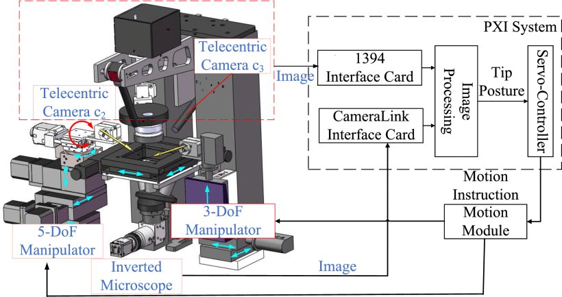 Precision Alignment in Cell Microinjection Based on Hybrid Triple-View Micro-Vision Figure 1