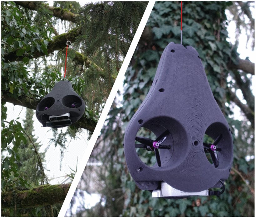 Design, Modeling, and Control of AVOCADO: A Multimodal Aerial-Tethered Robot for Tree Canopy Exploration Figure 1