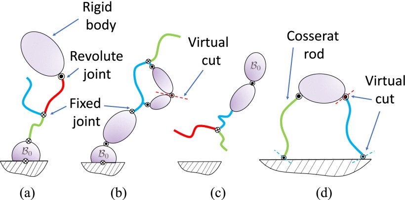 Implicit Time-Integration Simulation of Robots With Rigid Bodies and Cosserat Rods Based on a Newton–Euler Recursive Algorithm Figure 1